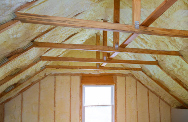Best Eco-Friendly Insulation in Devola, OH