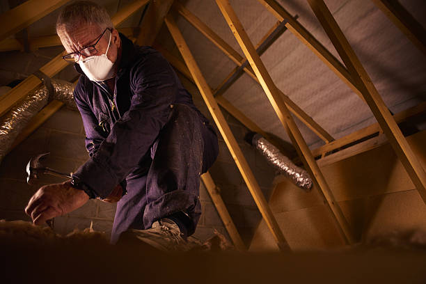 Types of Insulation We Offer in Devola, OH